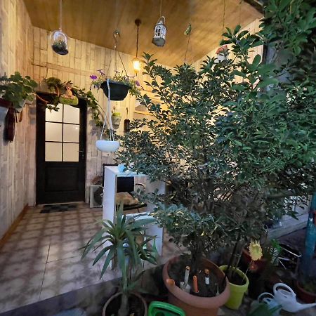 Mr Guest House Тбилиси Екстериор снимка