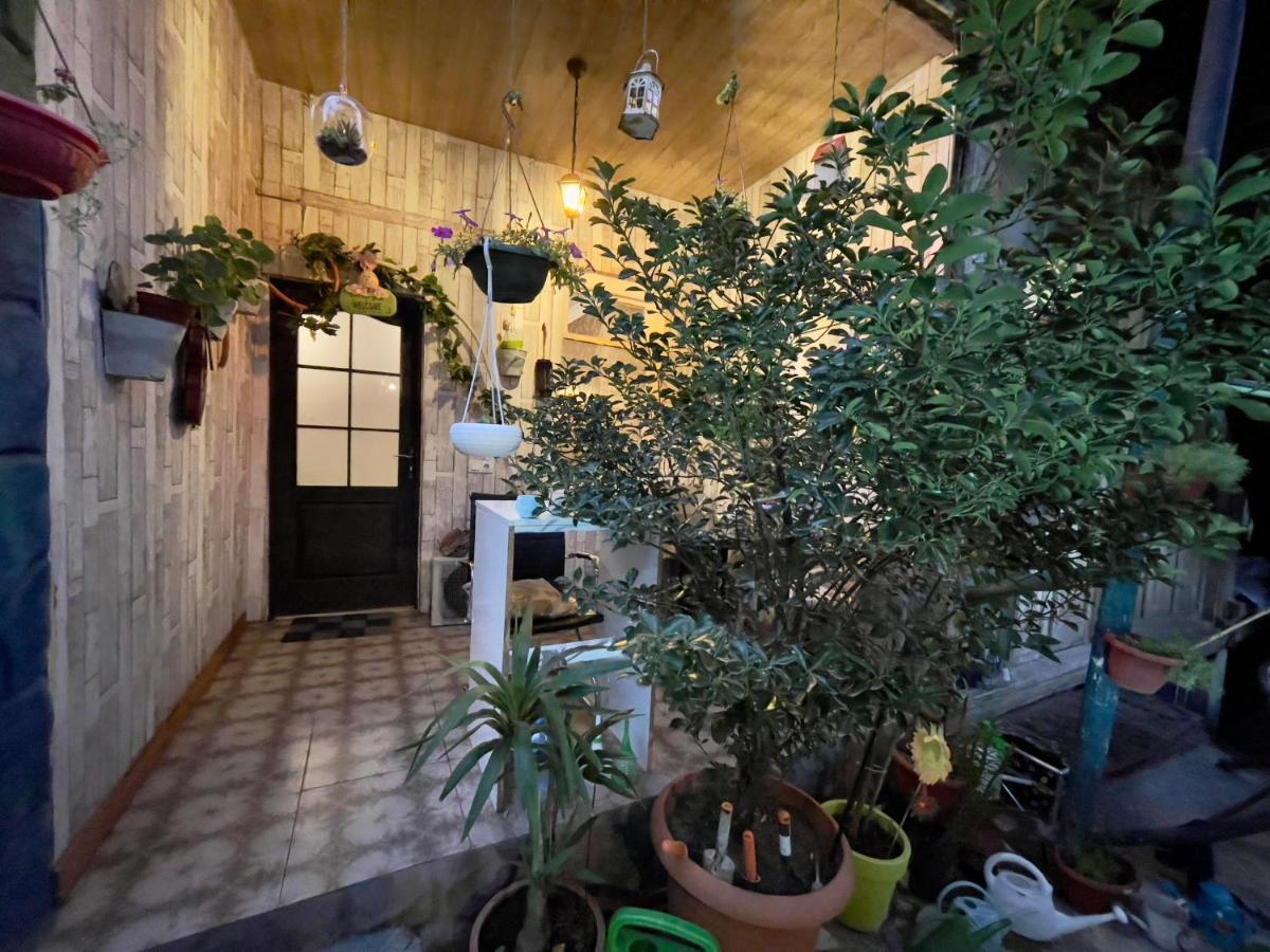Mr Guest House Тбилиси Екстериор снимка